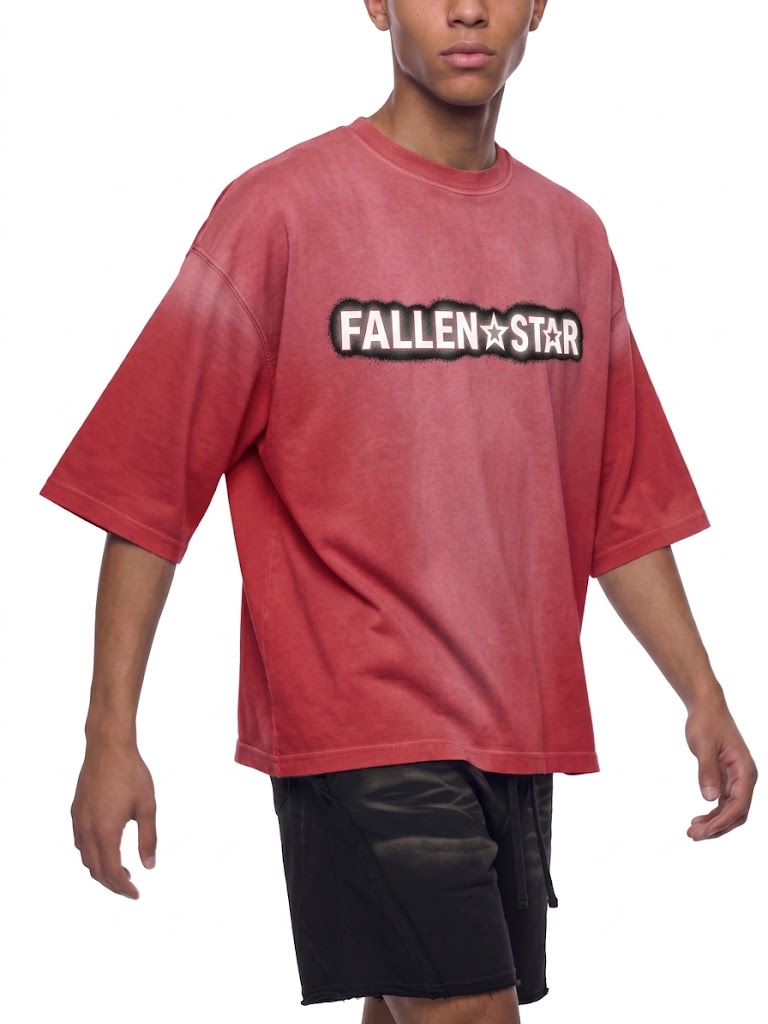 fallenstar Unisex Vintage Wash Sunfade Boxy T-Shirt